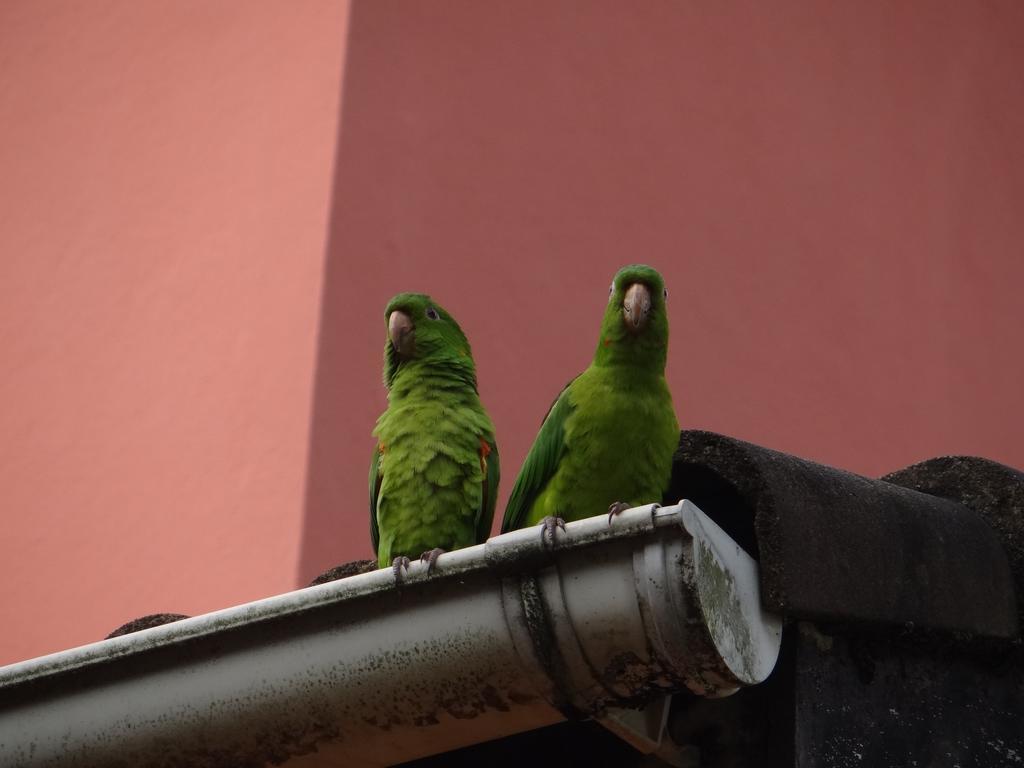 Pousada Da Mantiqueira Visconde De Maua Bagian luar foto